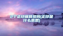 2个正印就算多吗(正印是什么意思)
