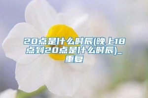 20点是什么时辰(晚上18点到20点是什么时辰)_重复