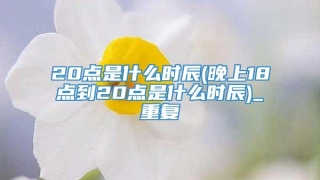 20点是什么时辰(晚上18点到20点是什么时辰)_重复