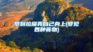 梦到拉屎弄自己身上(梦见各种食物)