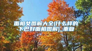 面相女图解大全(什么样的下巴好面相图解)_重复