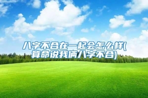 八字不合在一起会怎么样(算命说我俩八字不合)