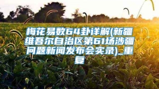 梅花易数64卦详解(新疆维吾尔自治区第61场涉疆问题新闻发布会实录)_重复