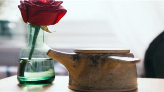 70年属狗一生婚姻感情(属狗人的后半辈子)_重复