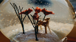 单身女孩梦见有男朋友很甜蜜(单身女生梦见有老公并且很甜蜜)_重复