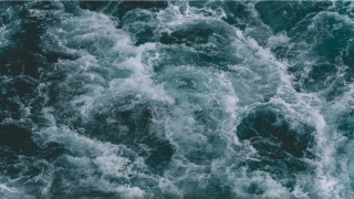 额头高的人命好吗(俗语“十个光头九个富”)