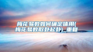 梅花易数如何确定体用(梅花易数取卦起卦)_重复