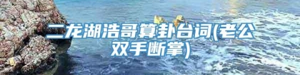 二龙湖浩哥算卦台词(老公双手断掌)