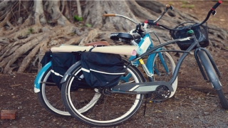 献的拼音怎么写(梅花的拼音怎么拼写)