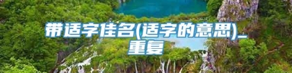 带适字佳名(适字的意思)_重复