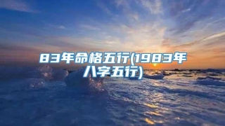 83年命格五行(1983年八字五行)