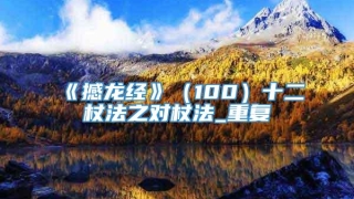 《撼龙经》（100）十二杖法之对杖法_重复