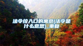 法令纹入口的寓意(法令是什么意思)_重复