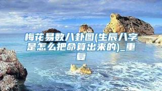 梅花易数八卦图(生辰八字是怎么把命算出来的)_重复