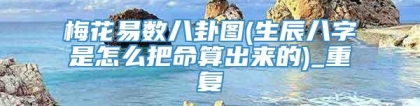 梅花易数八卦图(生辰八字是怎么把命算出来的)_重复