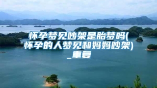 怀孕梦见吵架是胎梦吗(怀孕的人梦见和妈妈吵架)_重复