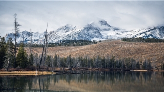 87年属兔34岁会离婚吗(余秀华 爱)