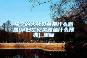 怀孕的人梦见鱼是什么意思(孕妇梦见黑鲤鱼什么预兆)_重复