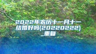 2022年农历十一月十一结婚好吗(20220222)_重复
