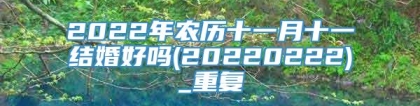 2022年农历十一月十一结婚好吗(20220222)_重复