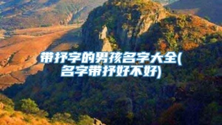 带抒字的男孩名字大全(名字带抒好不好)