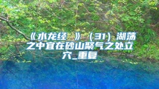 《水龙经 》（31）湖荡之中宜在砂山聚气之处立穴_重复