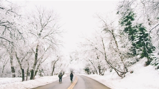 经常梦到自己喜欢的人说明什么(梦见自己情绪失控)