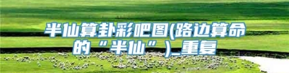 半仙算卦彩吧图(路边算命的“半仙”)_重复