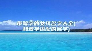 带鹭字的女孩名字大全(和鹭字搭配的名字)