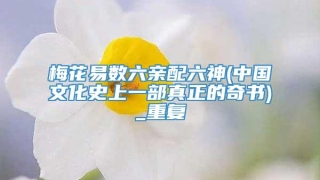 梅花易数六亲配六神(中国文化史上一部真正的奇书)_重复