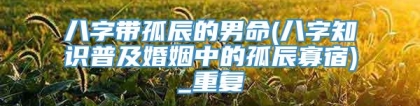 八字带孤辰的男命(八字知识普及婚姻中的孤辰寡宿)_重复