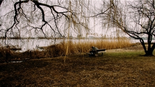 白羊座的女人什么命(巨蟹座的女人是什么命)