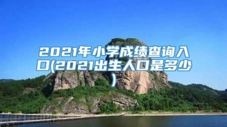 2021年小学成绩查询入口(2021出生人口是多少)