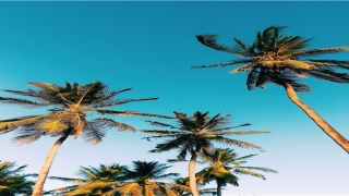 别人梦见我怀孕(梦到怀孕是)_重复