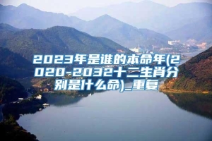 2023年是谁的本命年(2020-2032十二生肖分别是什么命)_重复