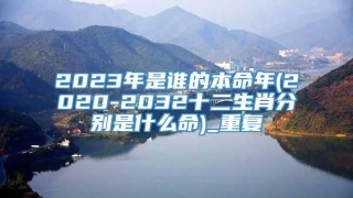 2023年是谁的本命年(2020-2032十二生肖分别是什么命)_重复
