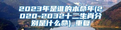2023年是谁的本命年(2020-2032十二生肖分别是什么命)_重复