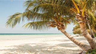 肩膀有痣的男人(肝癌会引起哪边肩膀疼)