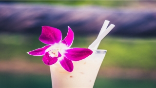 看面相的书(林觉民和陈意映的合照)