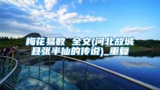 梅花易数 全文(河北故城县张半仙的传说)_重复