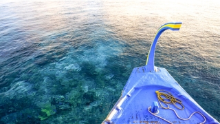 带沣字洋气好名字(取名洋气的字)