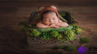 额头圆润饱满面相(鼻子圆润的男人面相代表的意思)