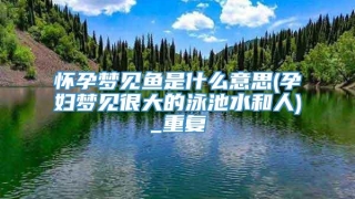 怀孕梦见鱼是什么意思(孕妇梦见很大的泳池水和人)_重复