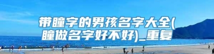 带瞳字的男孩名字大全(瞳做名字好不好)_重复