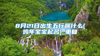 8月21日出生五行属什么(鸡年宝宝起名)_重复