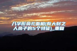 八字形鼻孔面相(有大财之人鼻子的5个特征)_重复