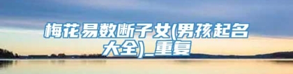 梅花易数断子女(男孩起名大全)_重复