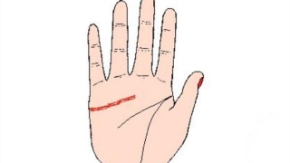 链条形的感情线你见过吗？(链条感情线)