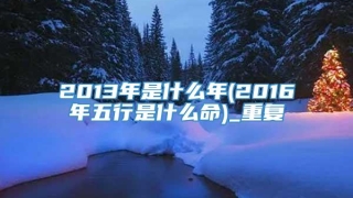 2013年是什么年(2016年五行是什么命)_重复