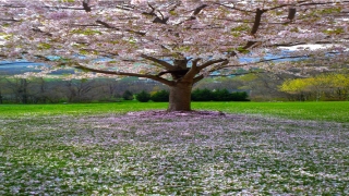 男人面部痣相分析图(塔罗另一半的相貌超准)